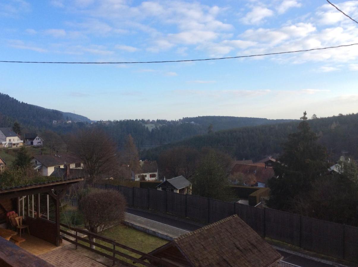 Gites Les Pins Et Les Bruyeres Wangenbourg-Engenthal Buitenkant foto