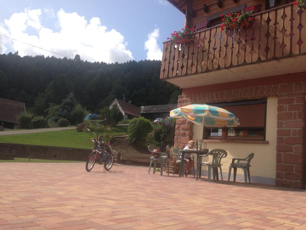 Gites Les Pins Et Les Bruyeres Wangenbourg-Engenthal Buitenkant foto